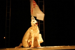 White Dog 3 * 6240 x 4160 * (5.47MB)